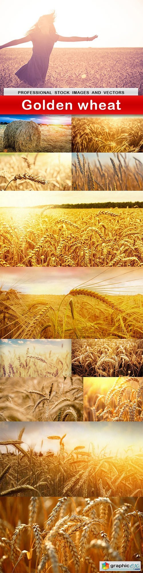 Golden wheat - 13 UHQ JPEG