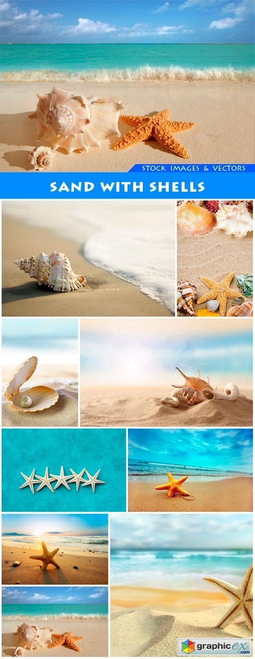 Sand with shells 9X JPEG