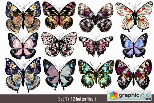 101 very bright butterfly mega bundle