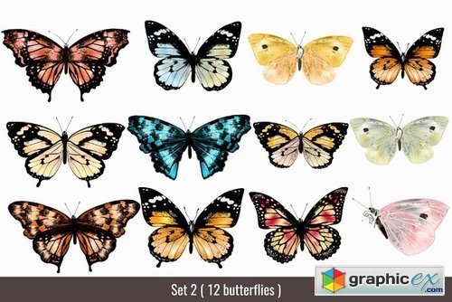 101 very bright butterfly mega bundle