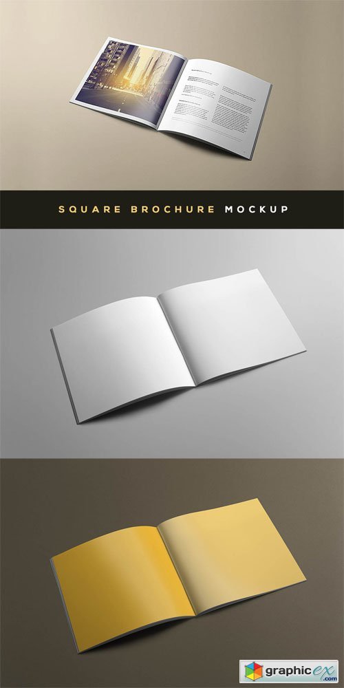 Square Brochure Presentation Mock-up Template