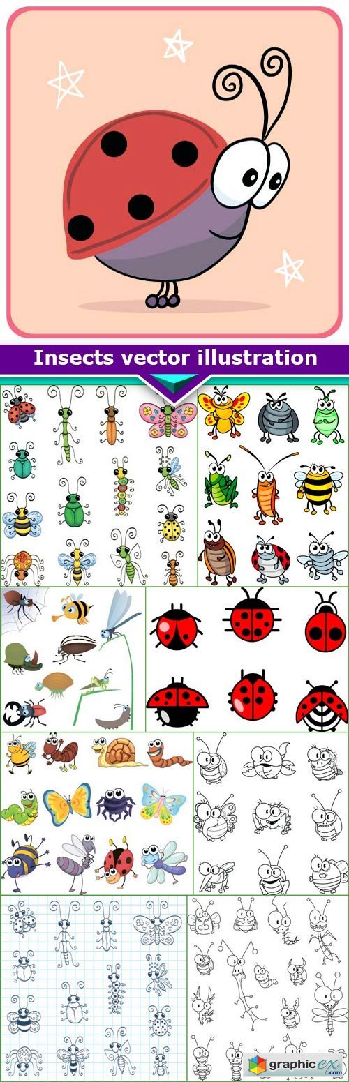 Insects vector illustration 9x EPS