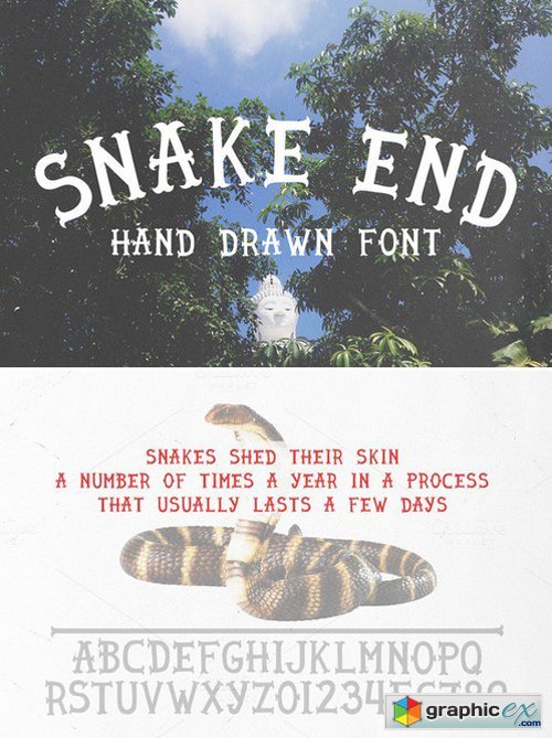 Snake end - hand drawn font 423690