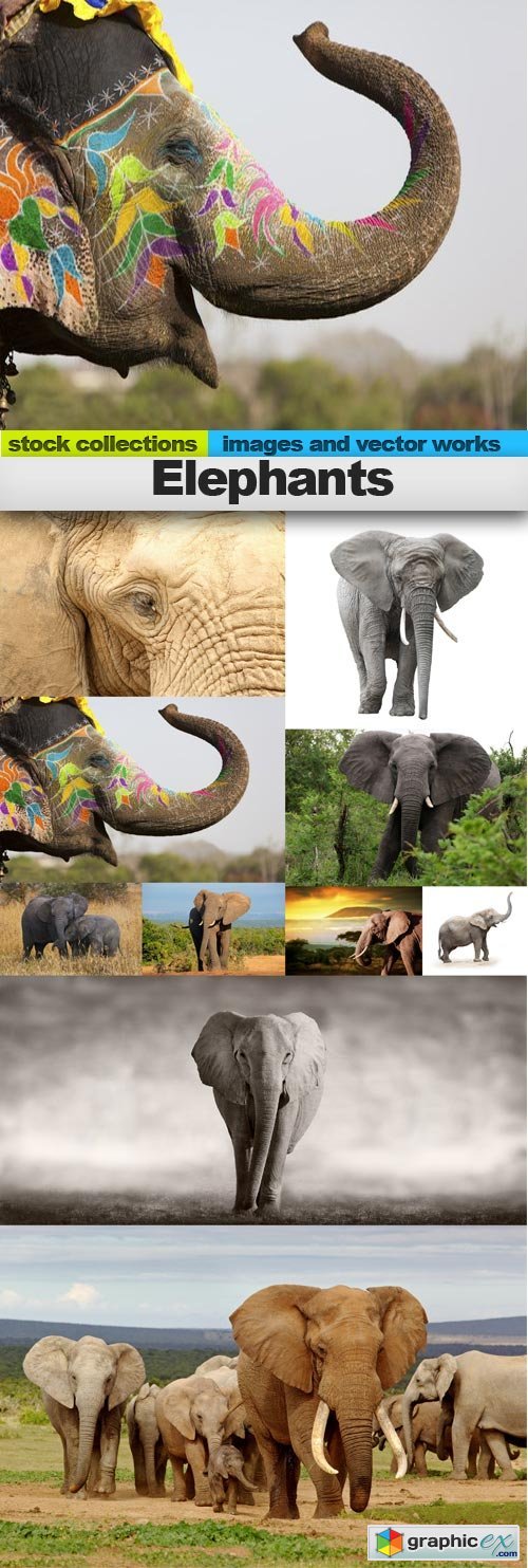 Elephants, 10 x UHQ JPEG