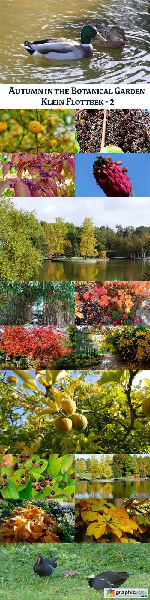 Autumn in the Botanical Garden Klein Flottbek - 2