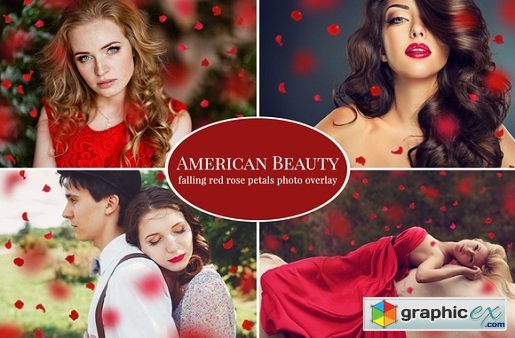 American Beauty- Red petals overlay