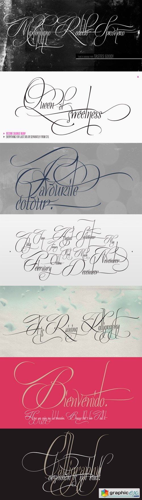 Quijote Sauvage Font Family - 8 Fonts for