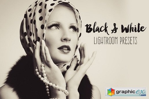 BeArt Black & White Lightroom Presets