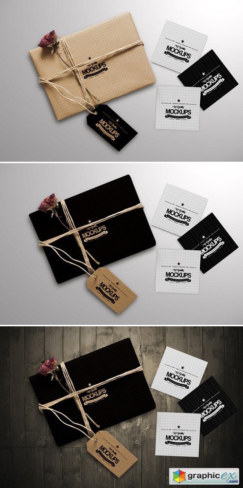 Box And Square Business card Mockup