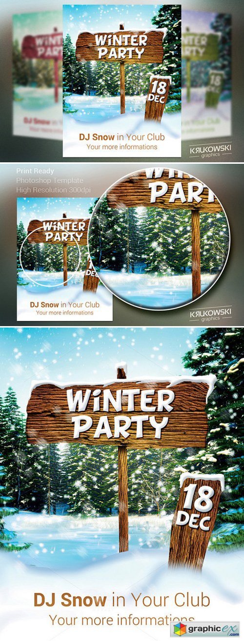 Winter Party Flyer / Poster