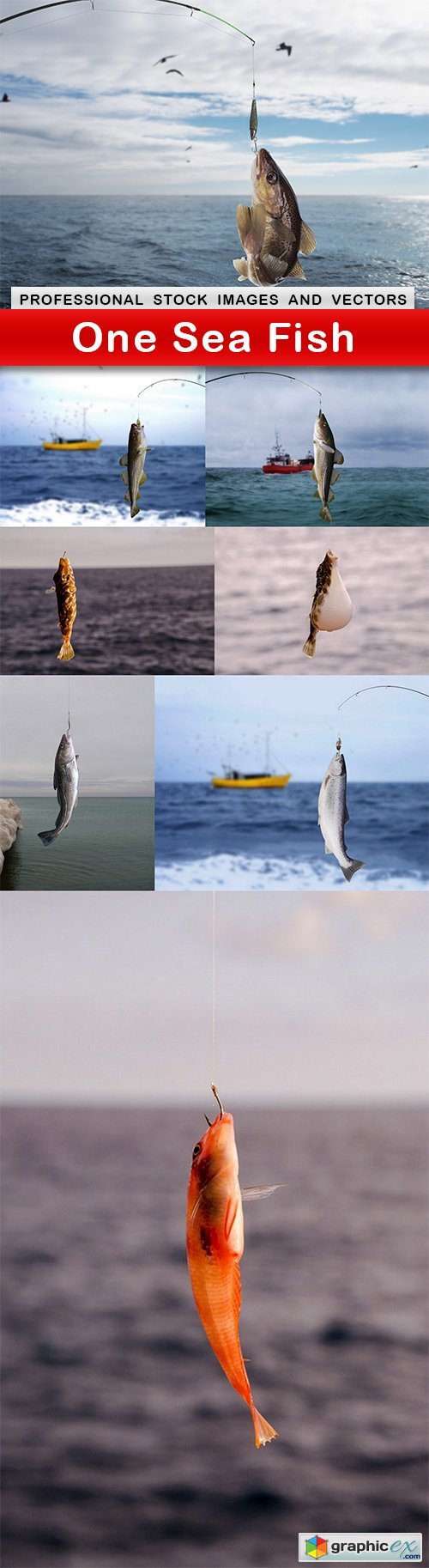 One Sea Fish - 8 UHQ JPEG