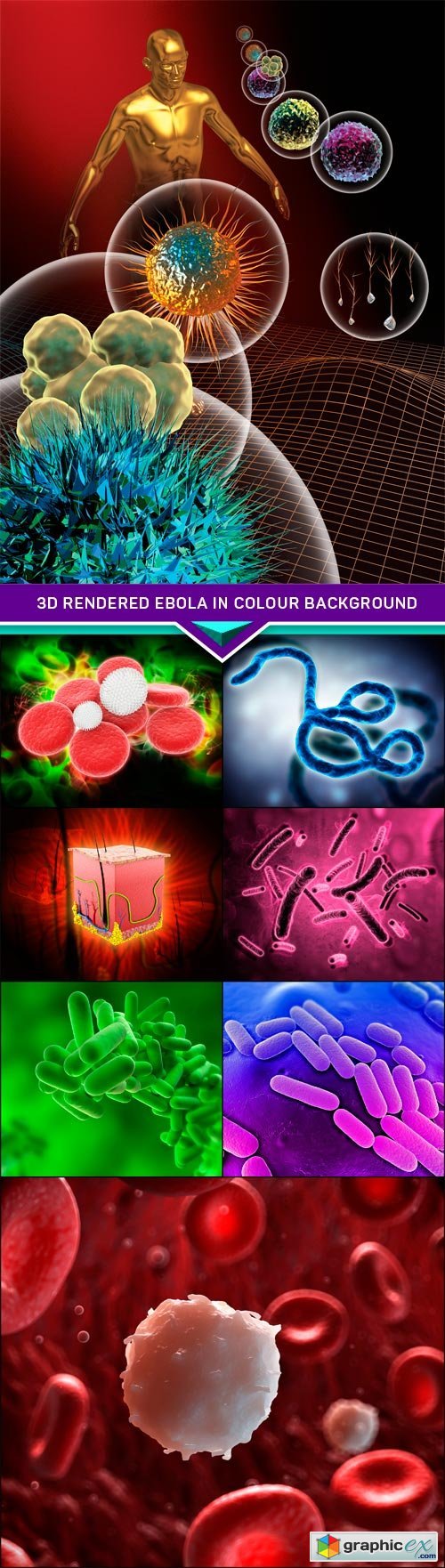 3d rendered Ebola in colour background 8x JPEG