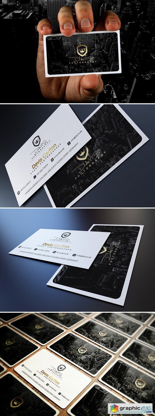 Professional Business Card 300234