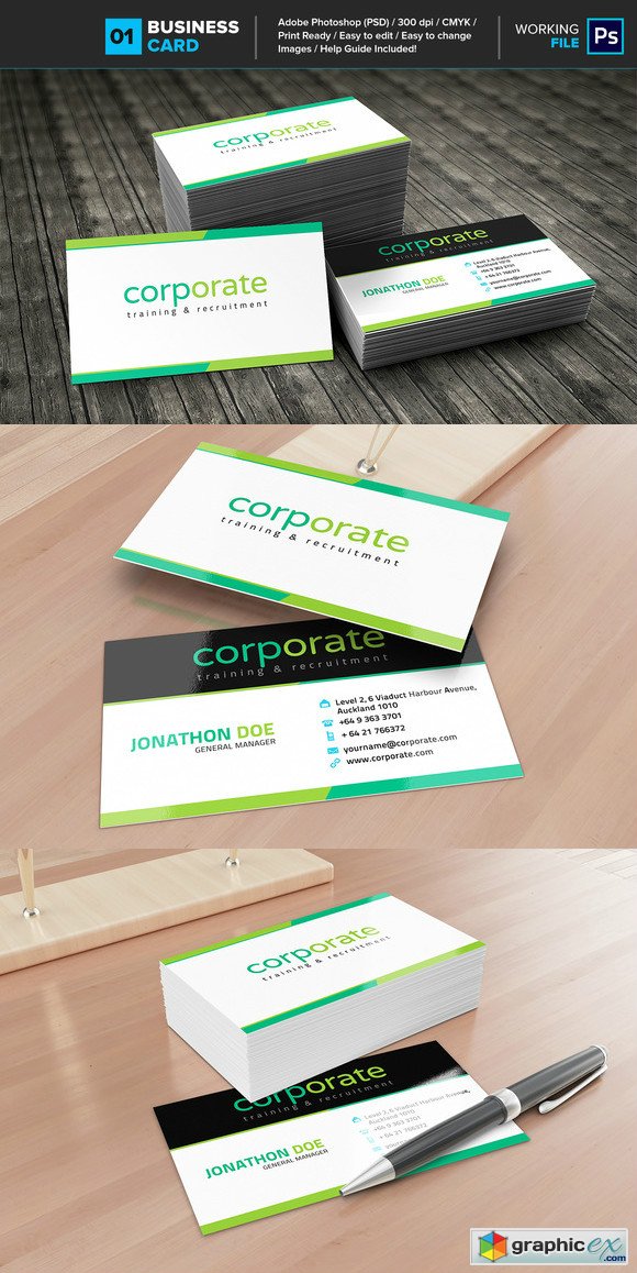 Professional Business Card 01