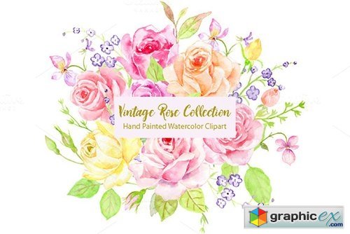 Watercolor Vintage Rose Bundle