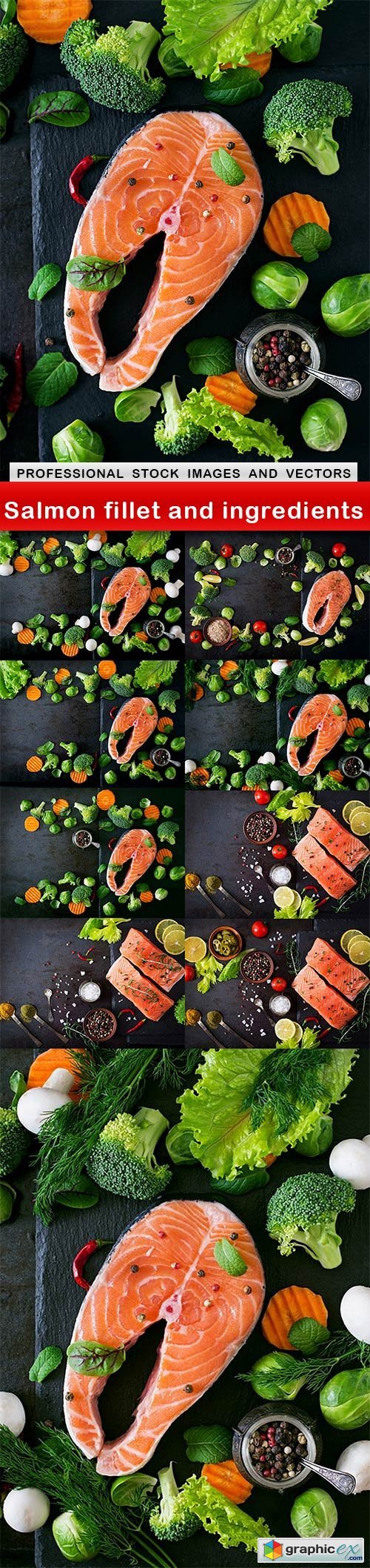 Salmon fillet and ingredients - 10 UHQ JPEG