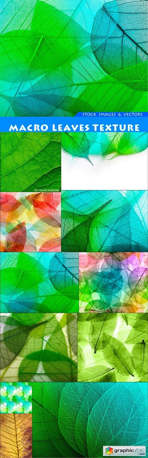 Macro leaves texture 11X JPEG