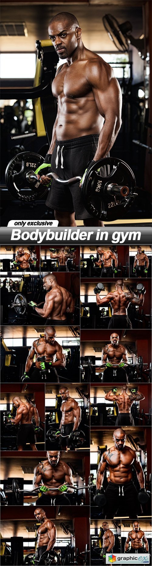 Bodybuilder in gym - 16 UHQ JPEG