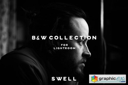 The Lightroom Collection - 4 bundles