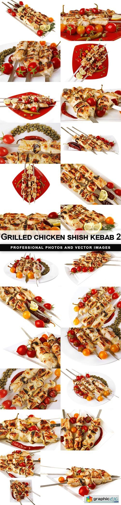 Grilled chicken shish kebab 2