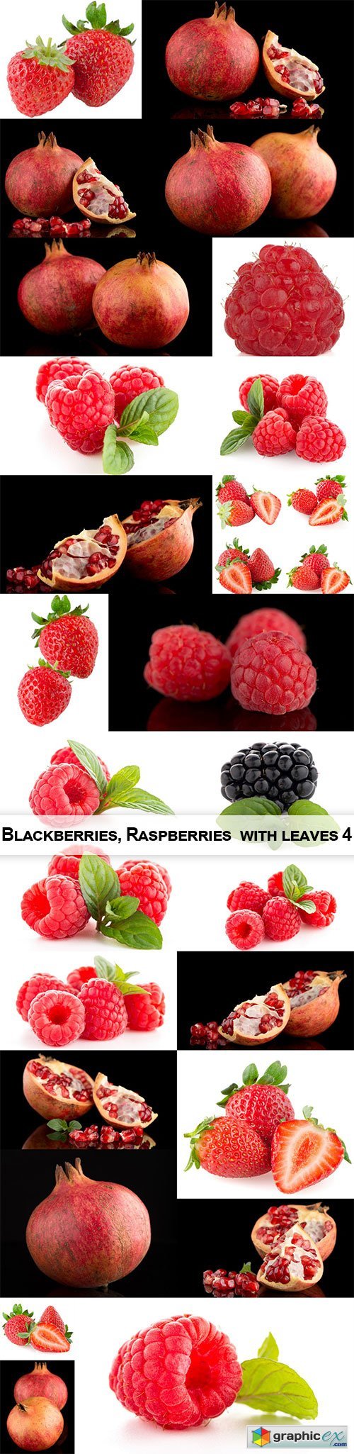  Blackberries, Raspberries with leaves 4