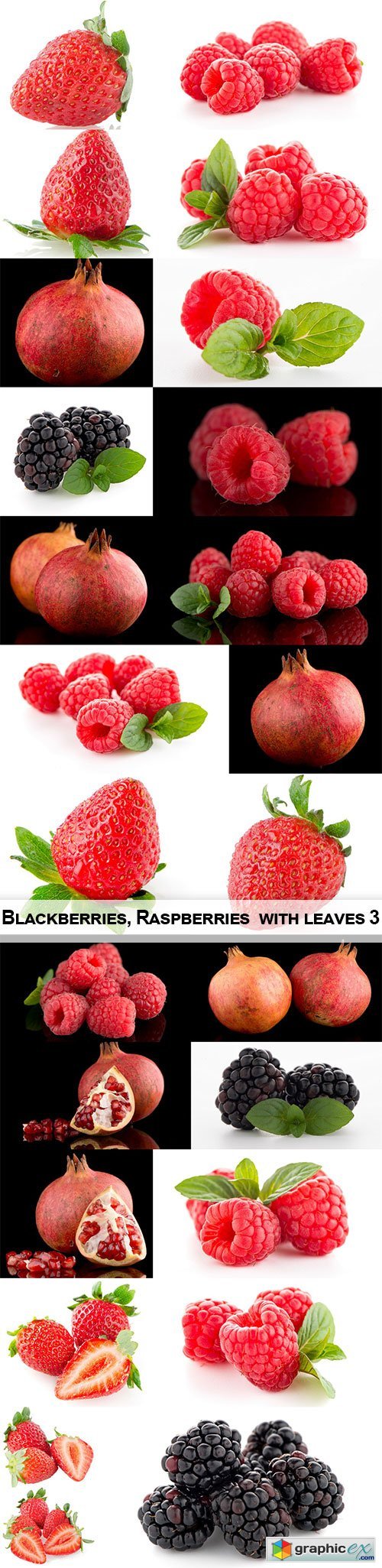 Blackberries, Raspberries with leaves 3
