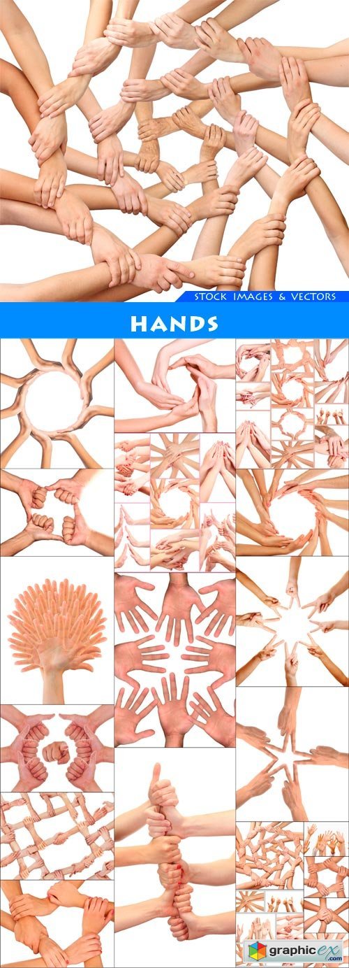Hands 20X JPEG