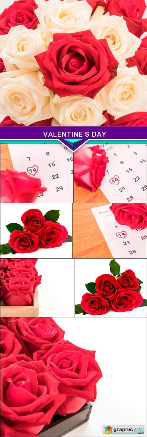 Red rose on the calendar with the date of February 14 Valentine's day 8x JPEG
