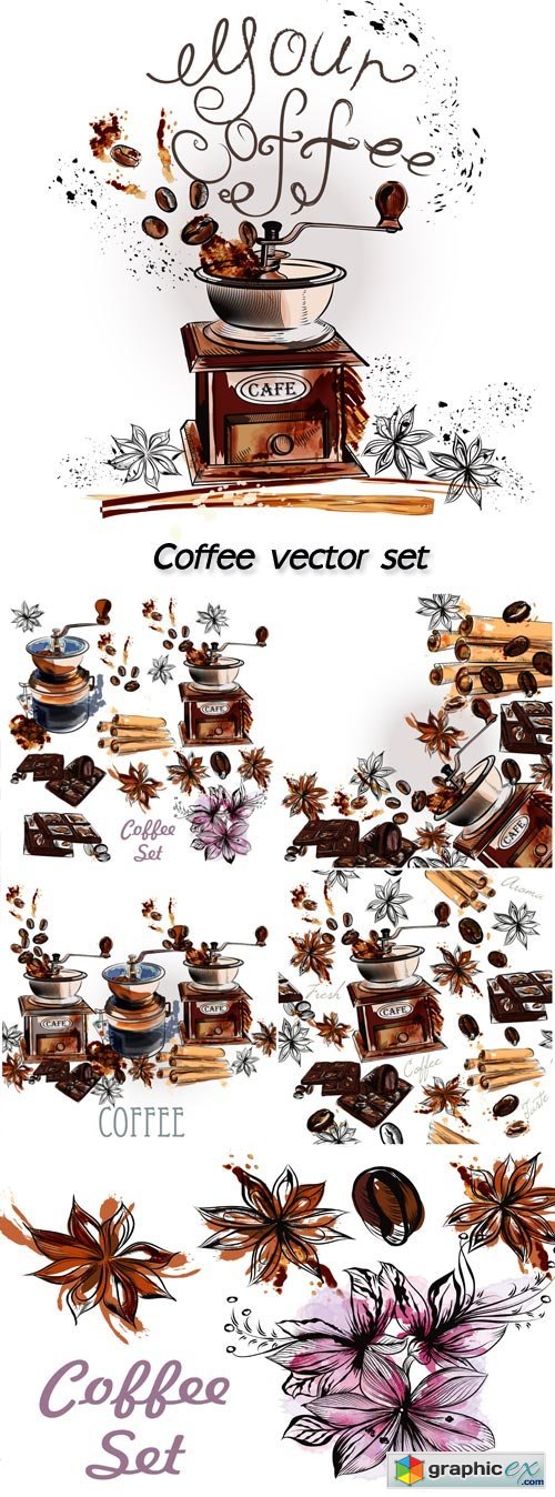 Coffee vector set with coffee grinder anise stars and roasted beans in engraved and watercolor styles