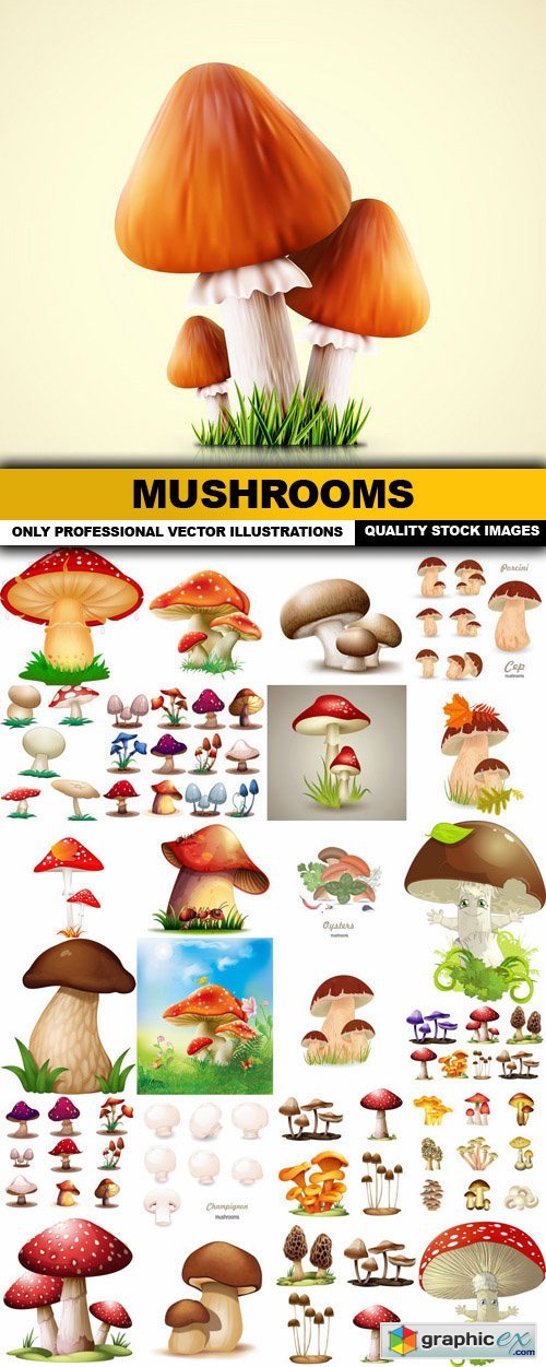 Mushrooms - 25 Vector