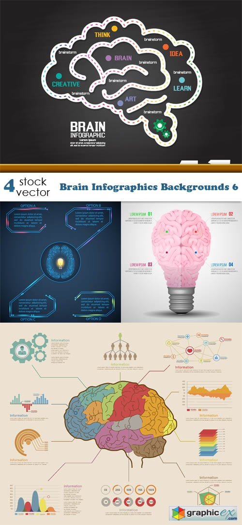 Vectors - Brain Infographics Backgrounds 6
