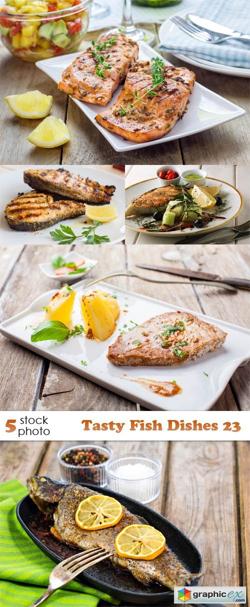 Photos - Tasty Fish Dishes 23