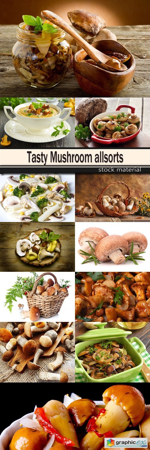 Tasty Mushroom allsorts