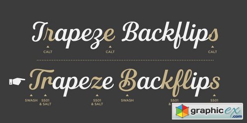 Fourth Font Family - 8 Fonts 