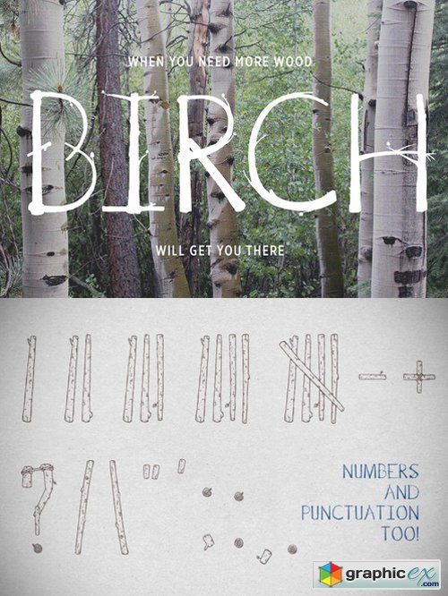 Birch Is Right Here - Fill 