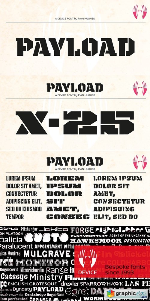Payload Font Family 
