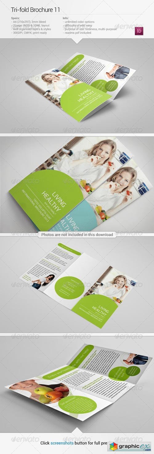Tri-Fold Brochure 11