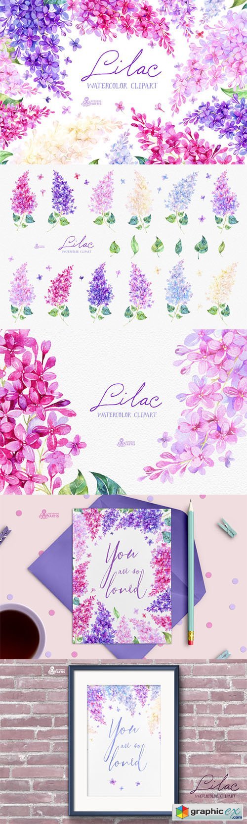 Lilac. Watercolor collection