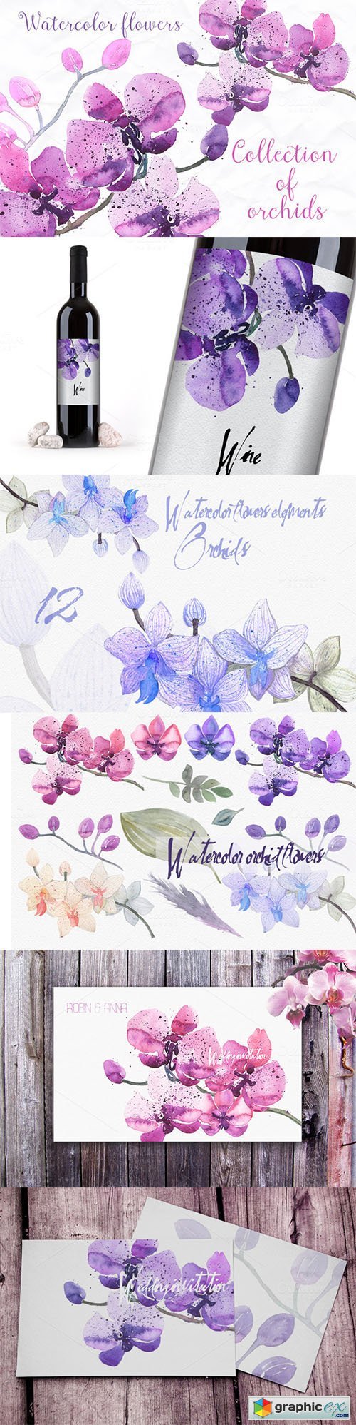 12 watercolor orchid