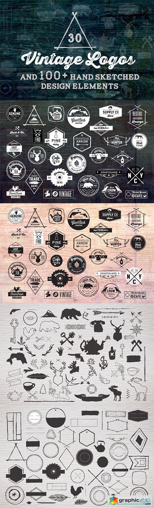  30 Vintage Logos + Design Elements