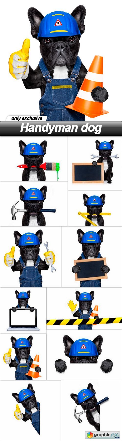 Handyman dog - 12 UHQ JPEG