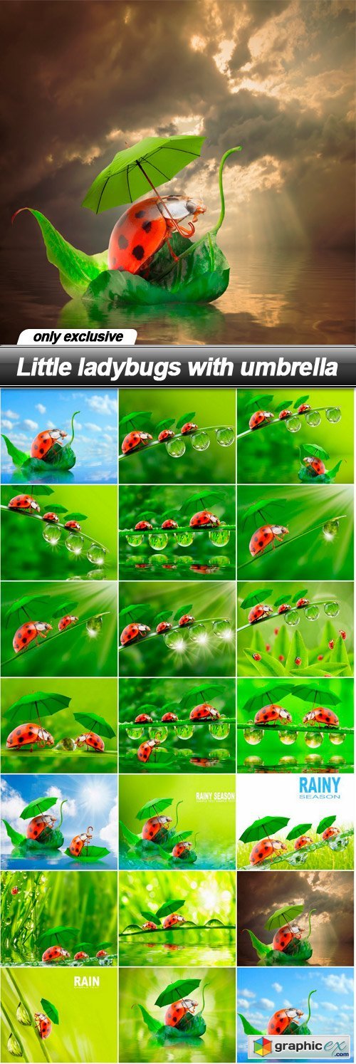 Little ladybugs with umbrella - 20 UHQ JPEG