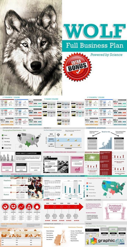 Wolf Full Business Plan PowerPoint