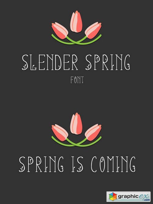 Slender Spring Font 
