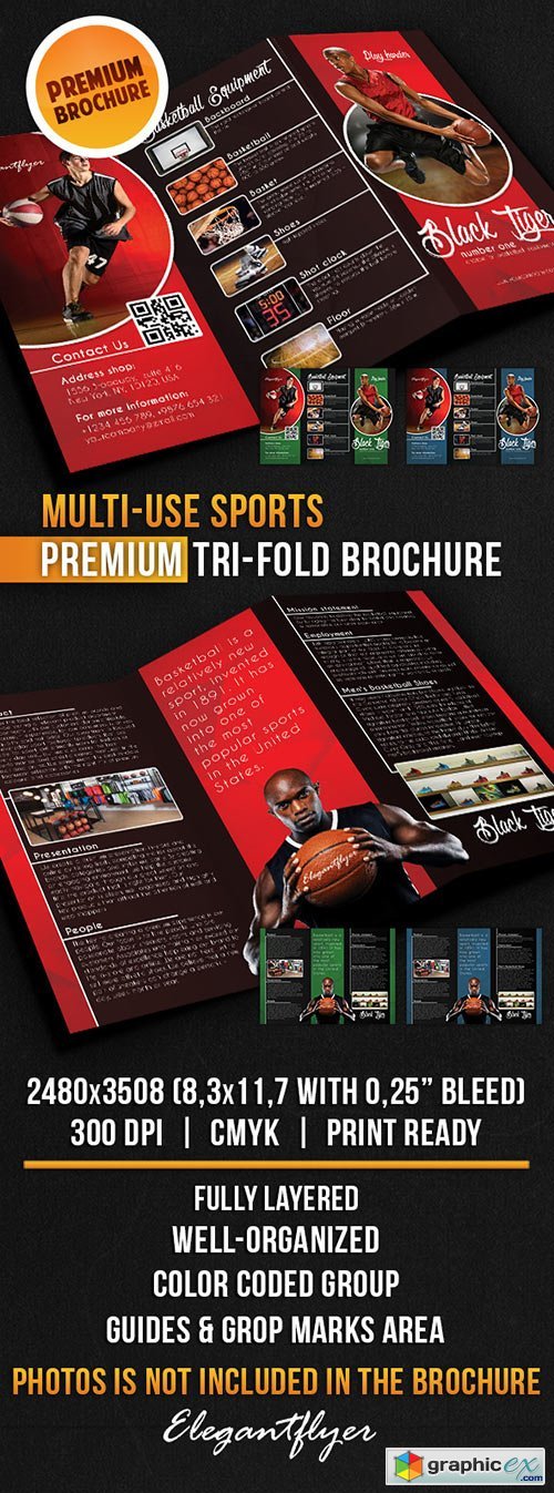 Multi-use Sports Tri-Fold Brochure PSD Template
