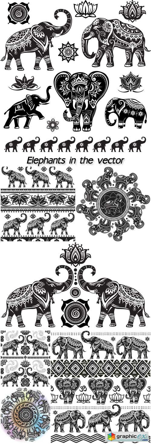 Elephants in the vector, patterns and ornaments