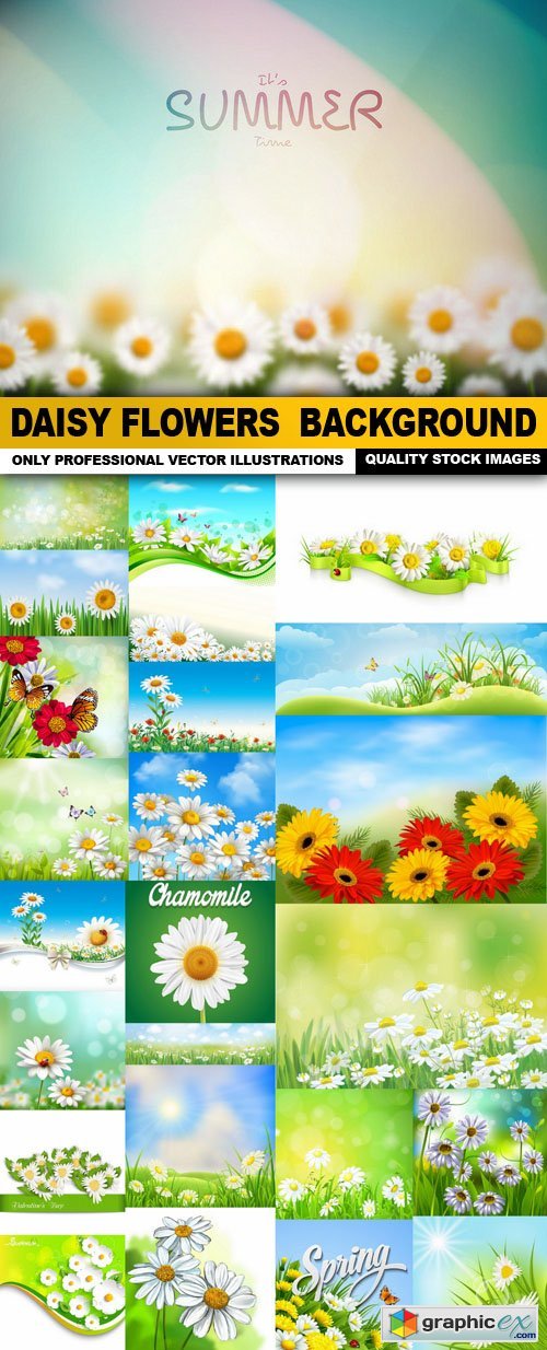 Daisy Flowers Background - 25 Vector