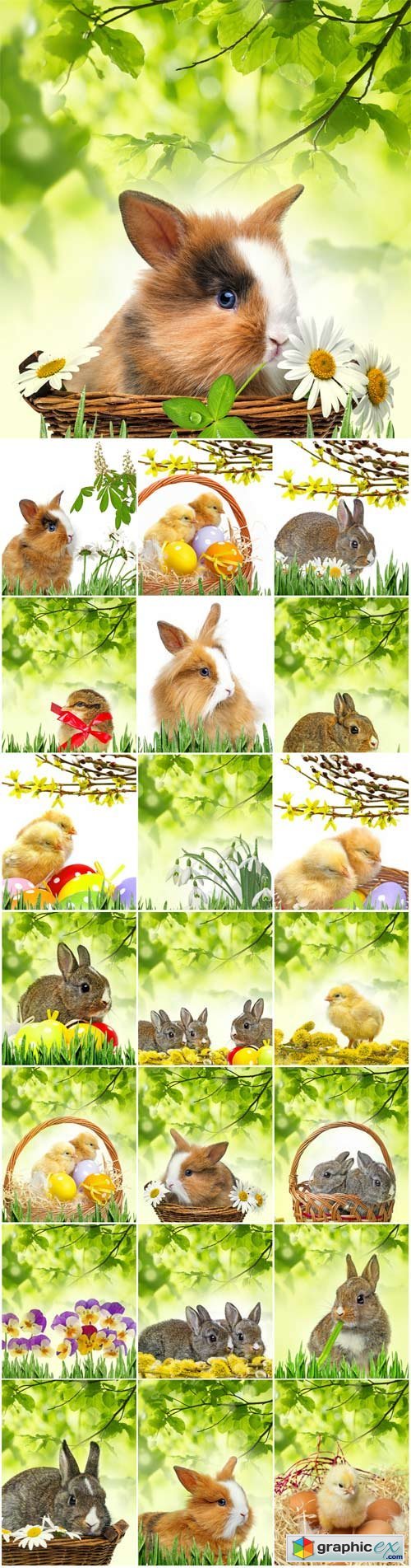 Easter bunny and chickens on a background of green leaves