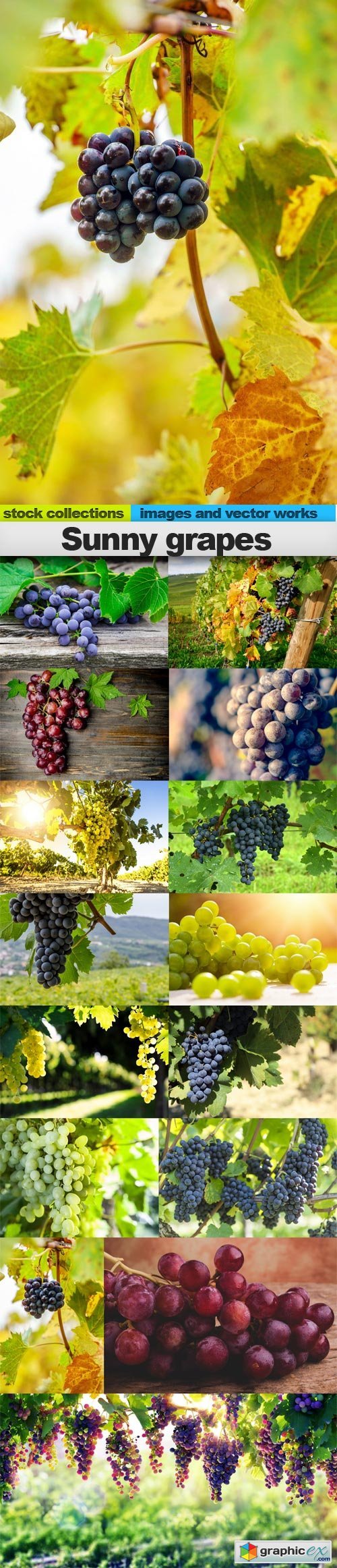 Sunny grapes, 15 x UHQ JPEG