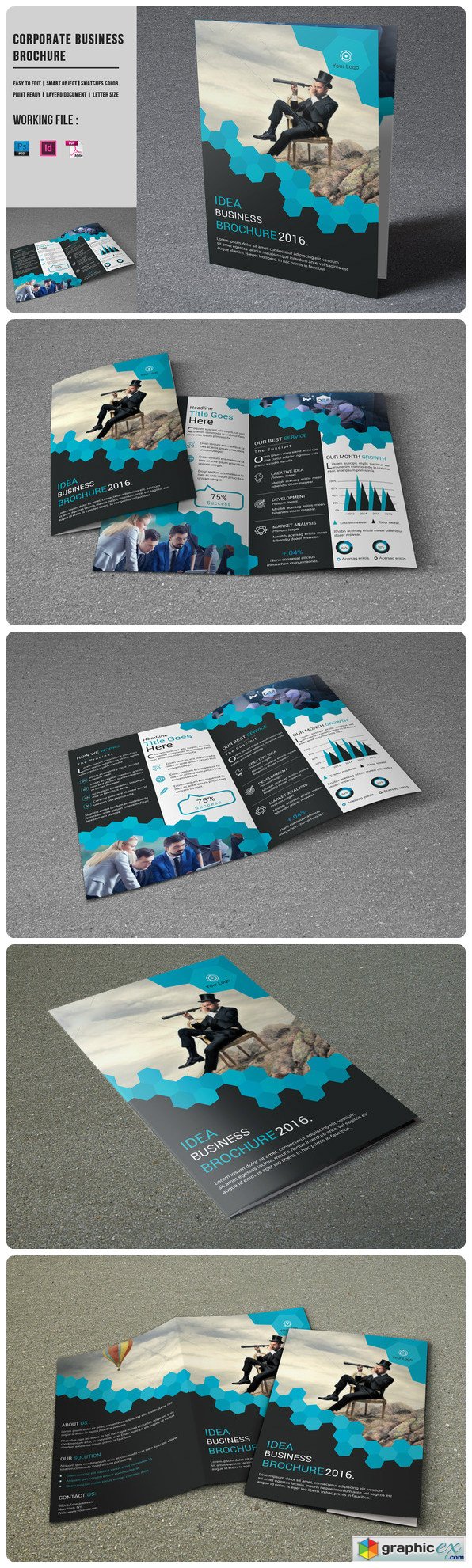 Corporate Brochure - V420